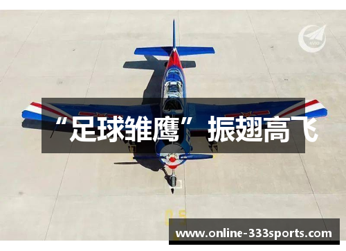 “足球雏鹰”振翅高飞